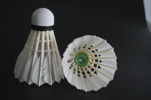 德国公开赛印度泰国选手爆冷击败安赛龙李梓嘉 会师决赛