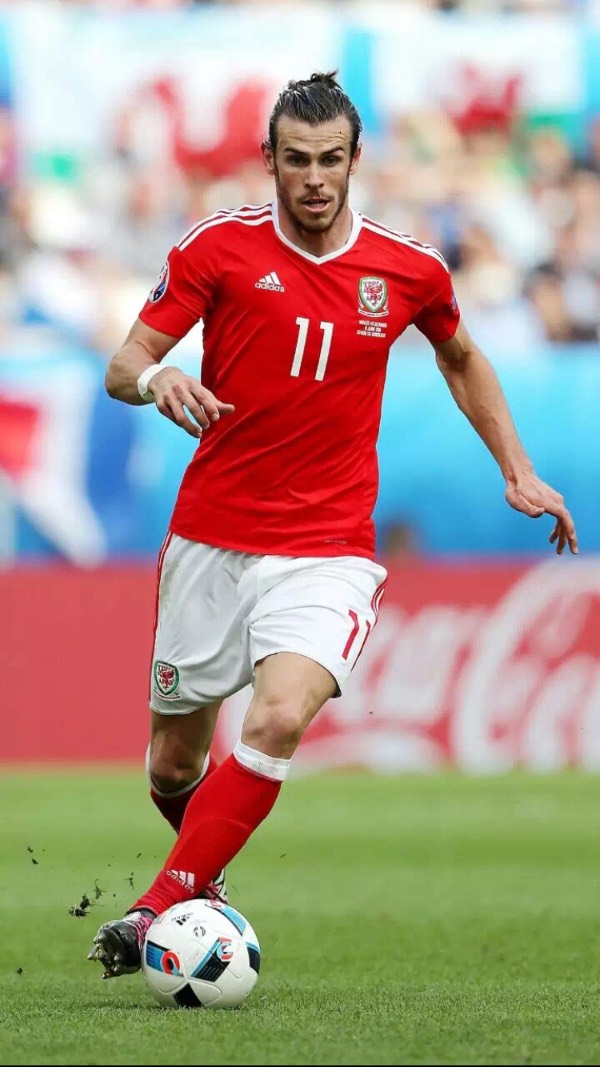 官方：阿尔贝蒂尼辞去意大利足协技术主管职务.