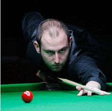 他们需要面 他们需要面